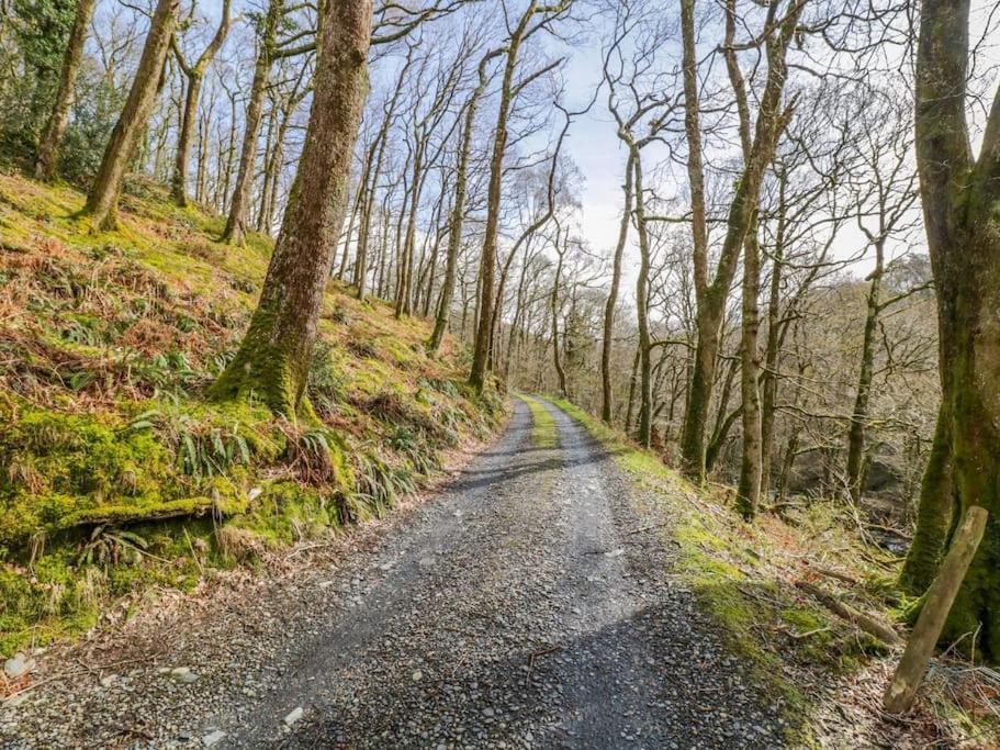 Y Cwtch - Panoramic Mountain Views Within Snowdonia'S National Park - 4X4 Recommended Villa Долгелай Екстериор снимка