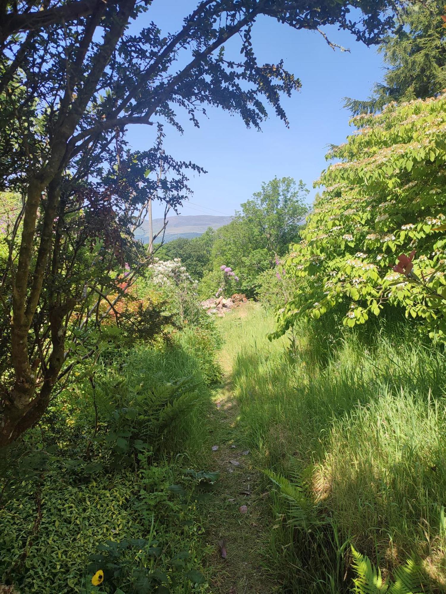 Y Cwtch - Panoramic Mountain Views Within Snowdonia'S National Park - 4X4 Recommended Villa Долгелай Екстериор снимка
